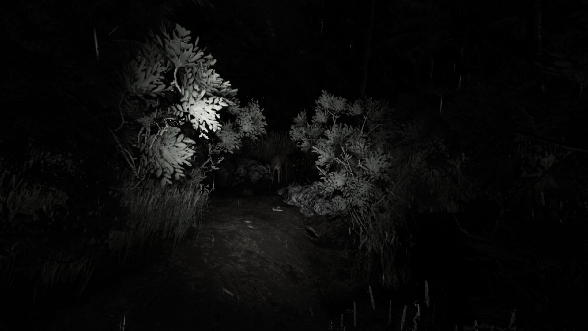 Folklore Files - The Rotmother trailer