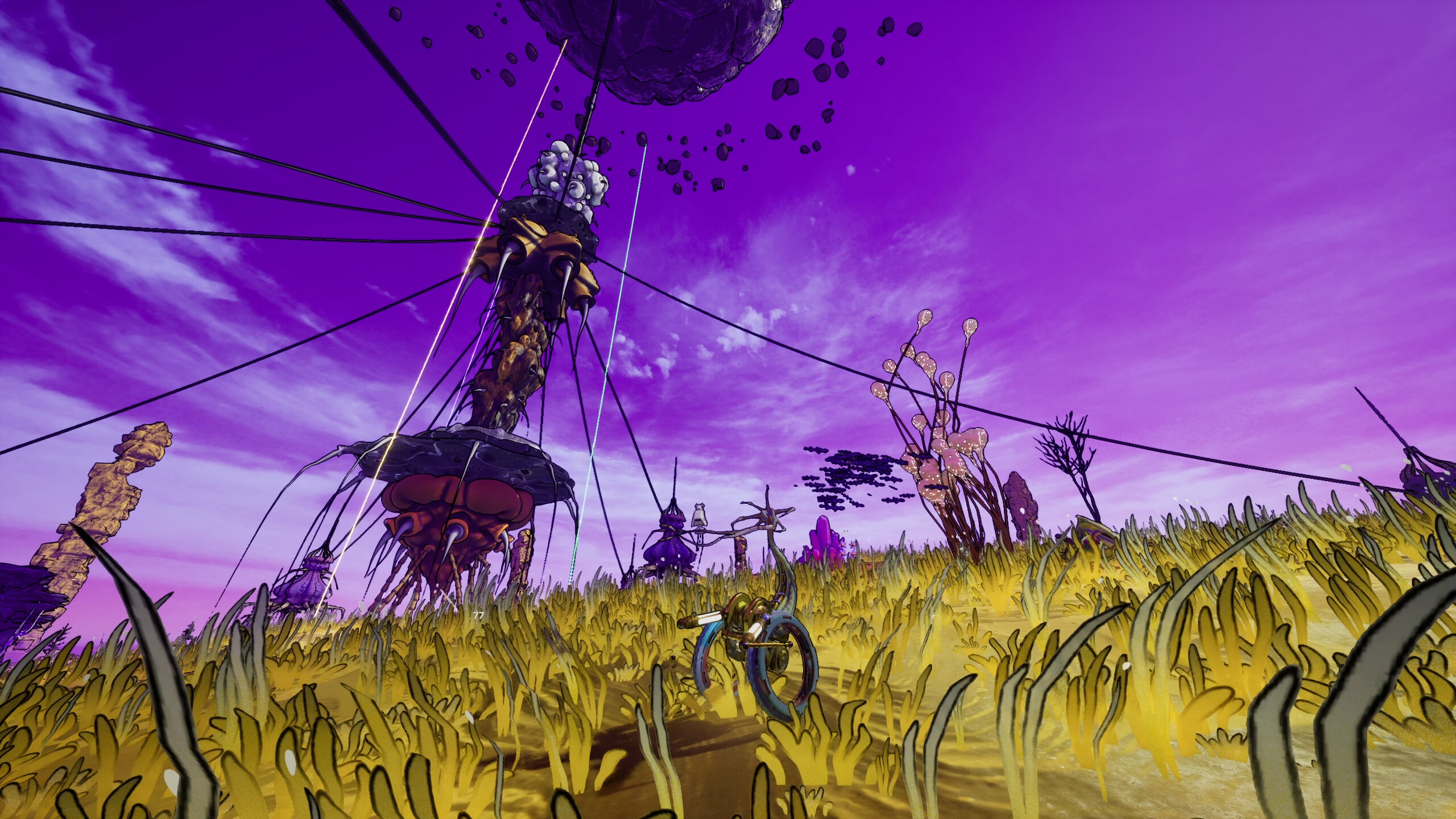 POLYMORPH trailer
