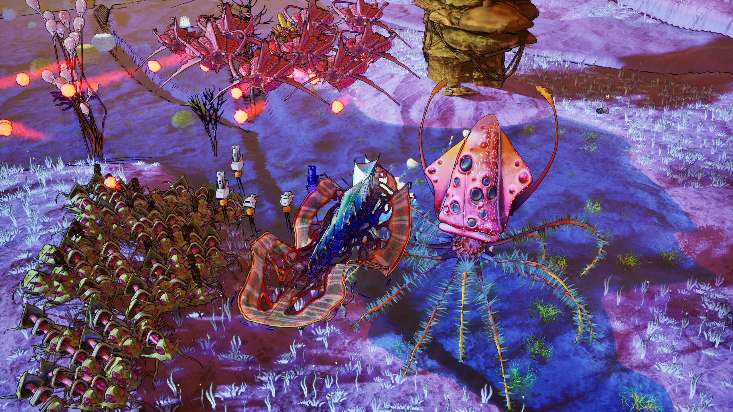 POLYMORPH screenshot 2