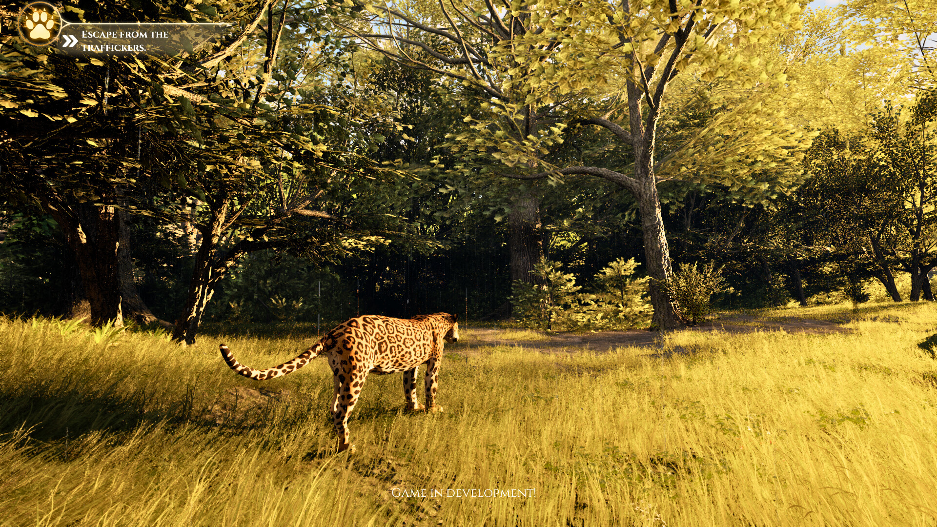 Yaguareté: The Game screenshot 5