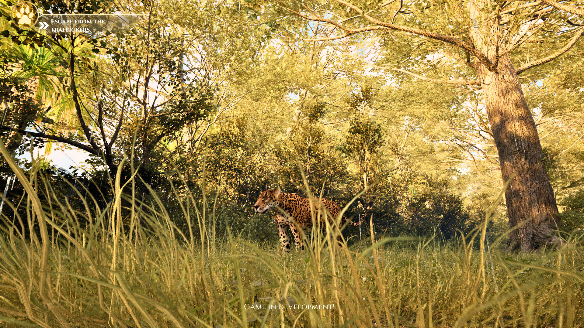 Yaguareté: The Game screenshot 4