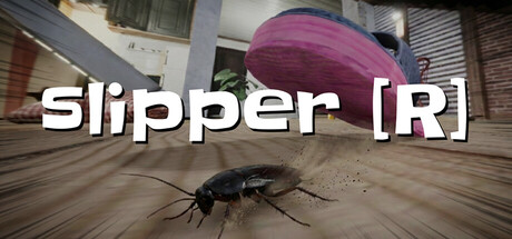 Slipper [R] 