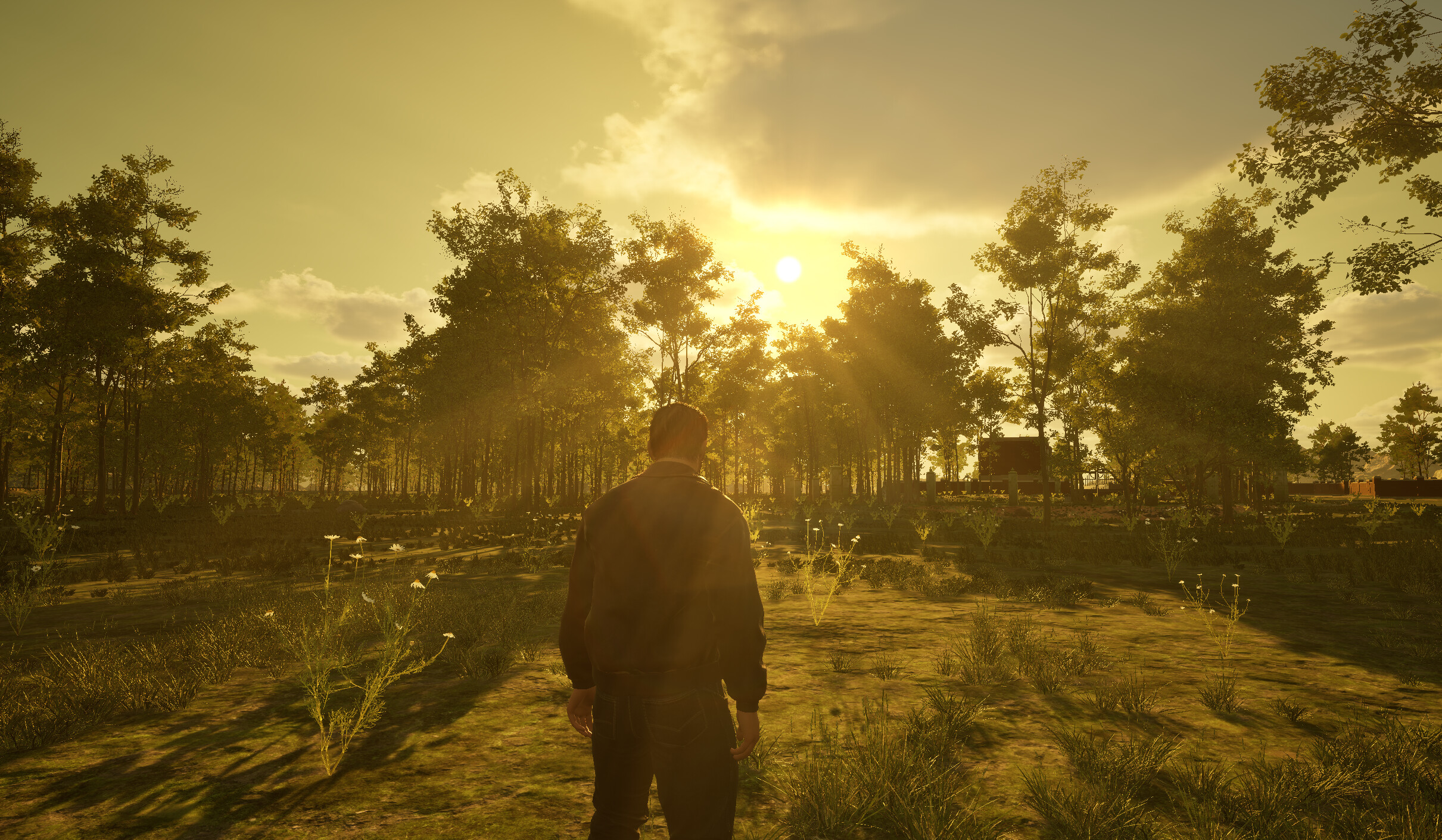 Island of the Missing screenshot 4