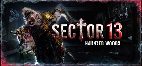 Cover art from Sector 13: Haunted Woods