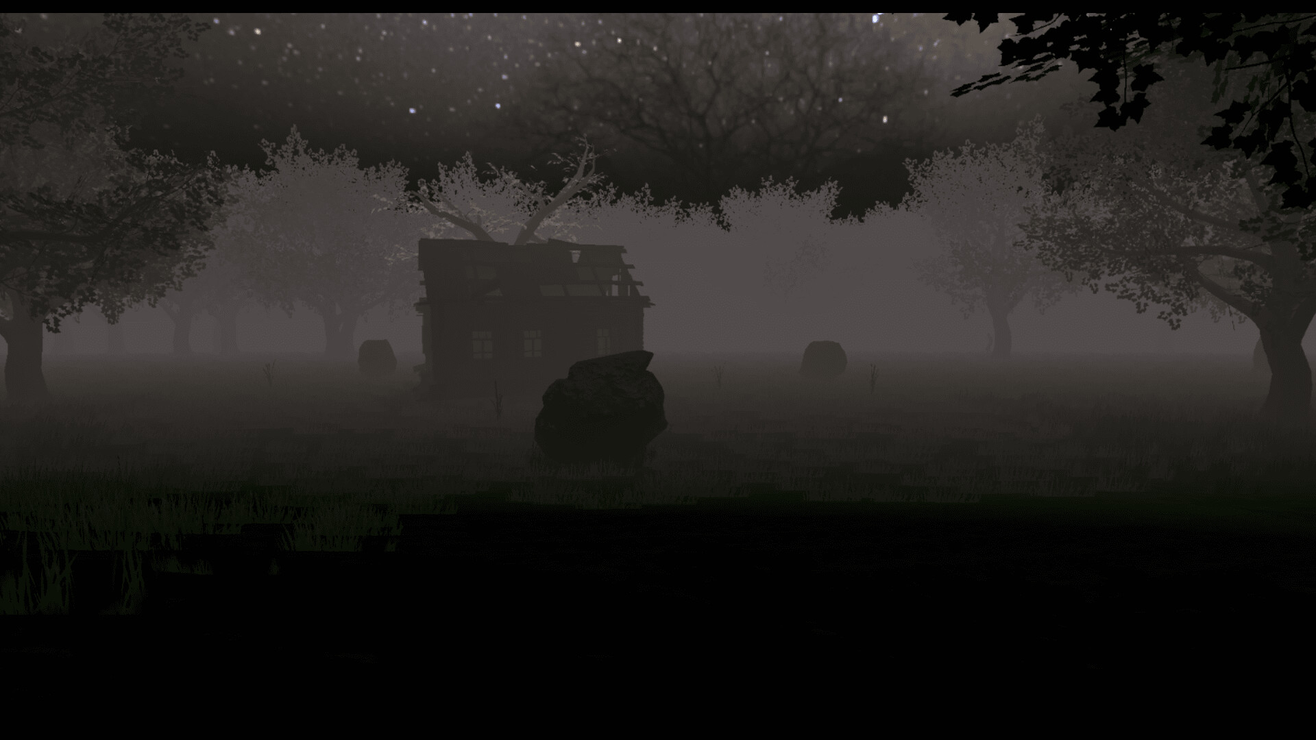 THE PROJECT screenshot 5