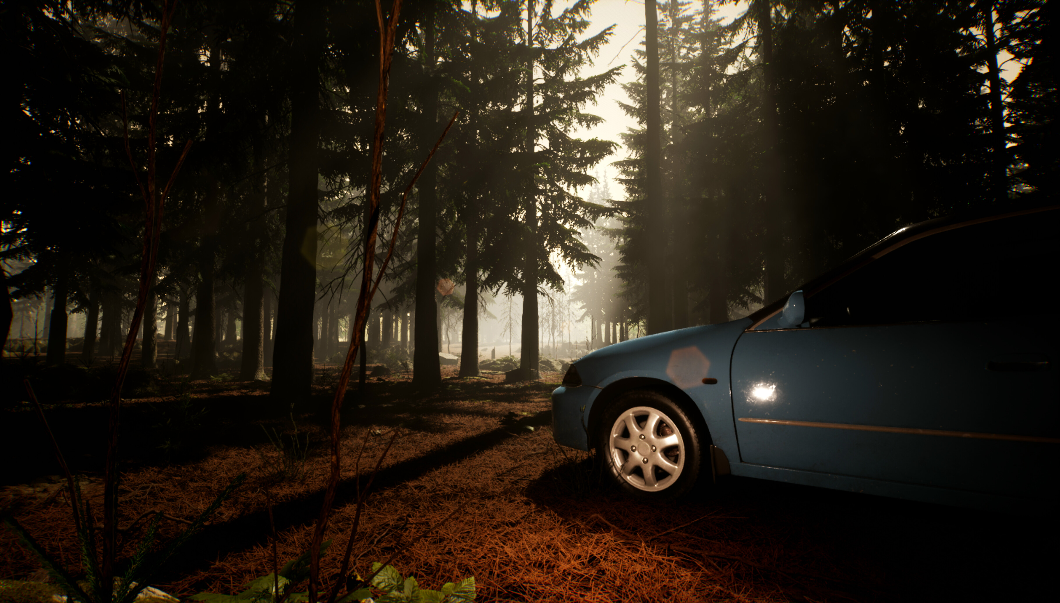Veylora screenshot 2