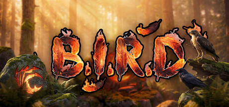 Cover art from B.I.R.D.