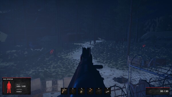 Road of a Survivor screenshot 3