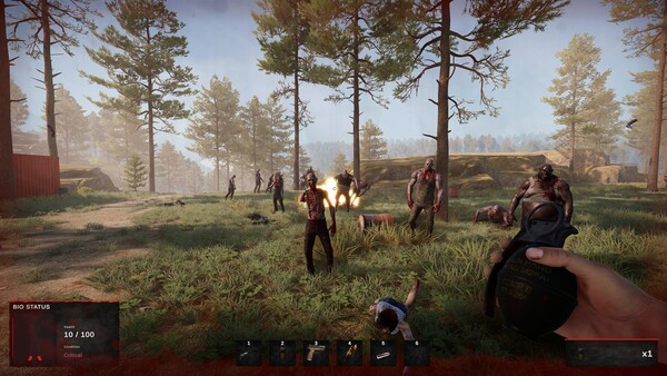 Road of a Survivor screenshot 5