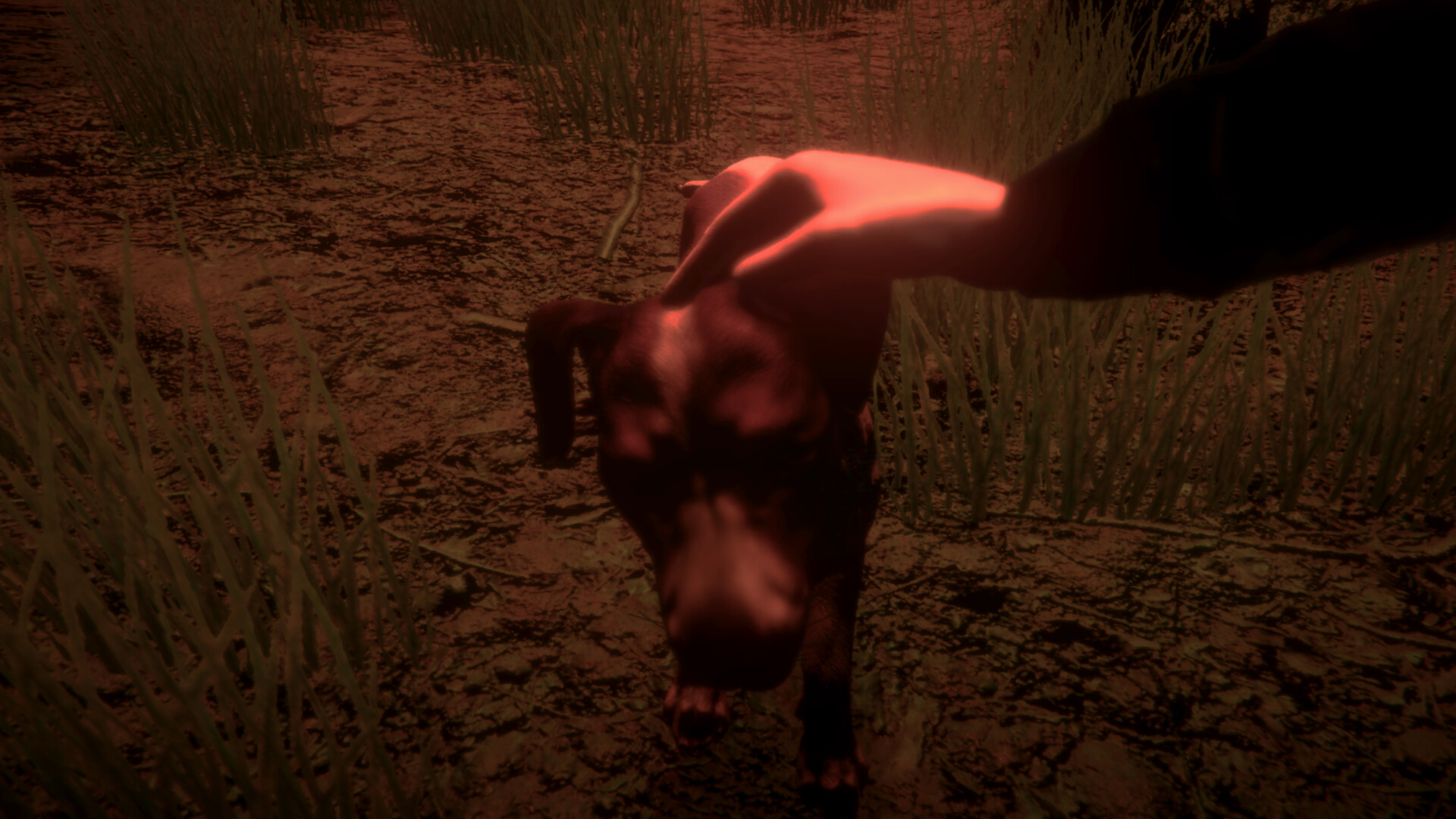 Shroud of the Woods screenshot 4