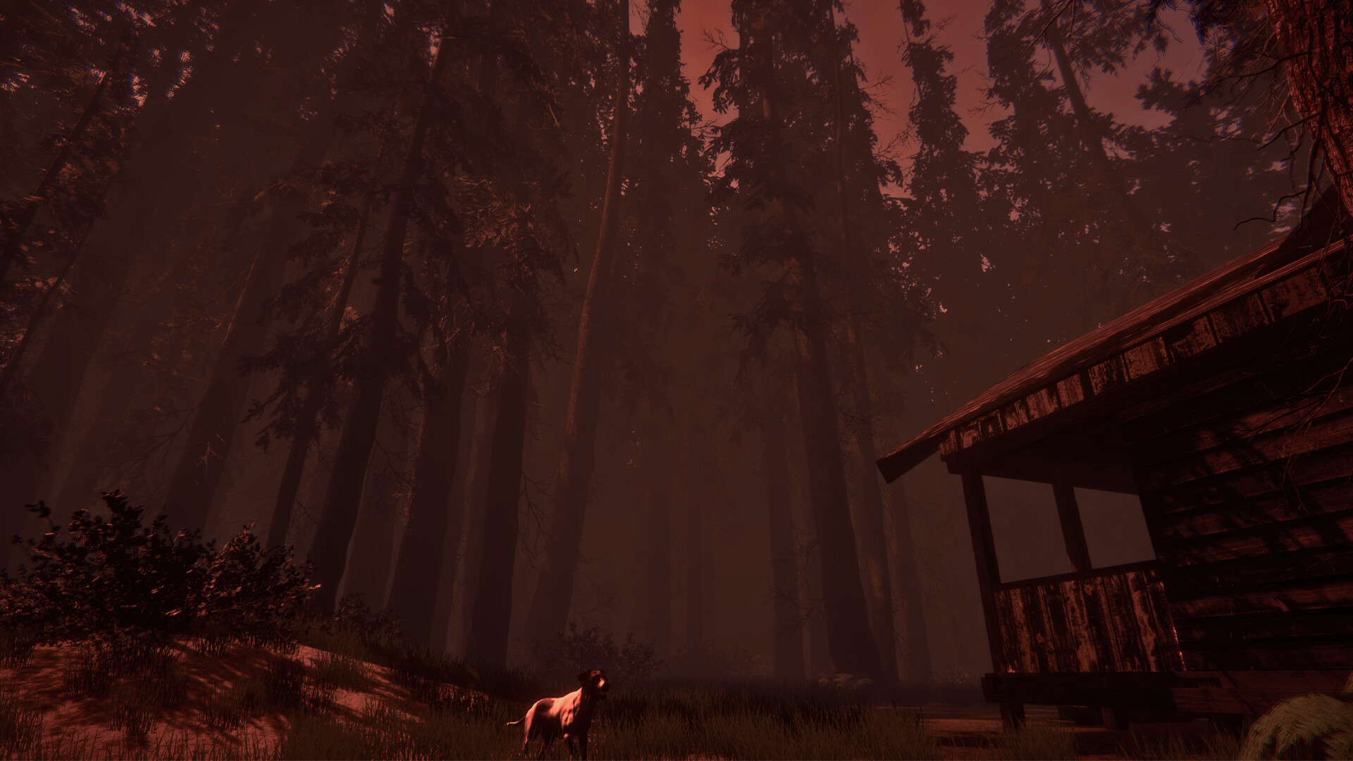 Shroud of the Woods trailer