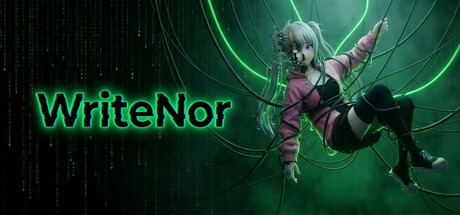 WriteNor
