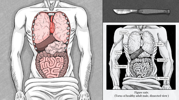 Edwin Earstwhile: Medical Examiner screenshot 2