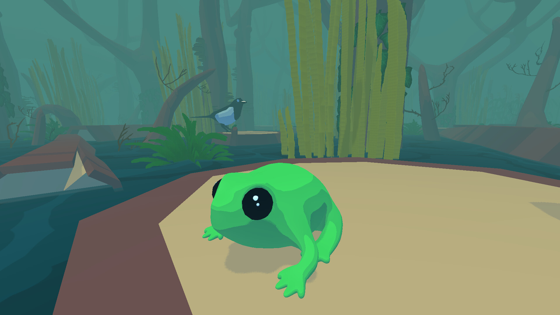 Focus Froggy trailer