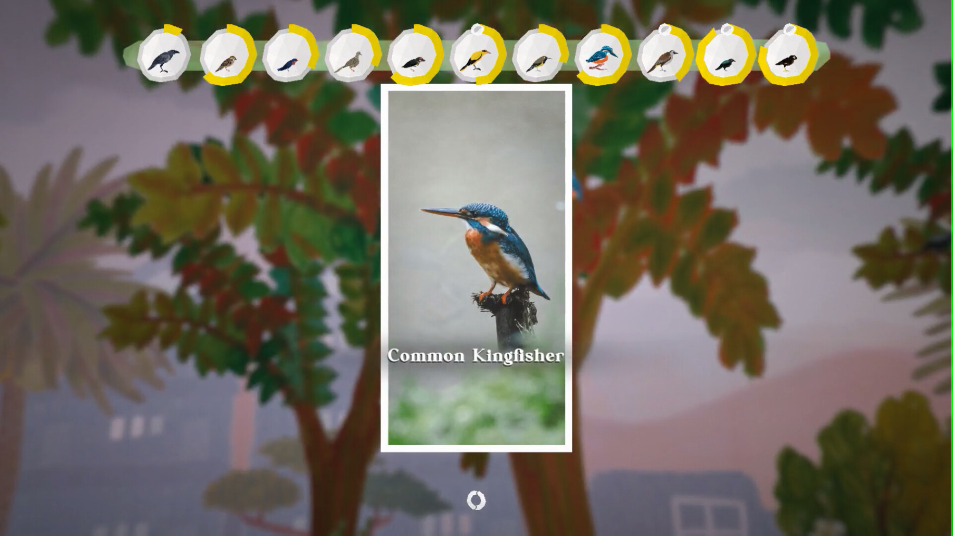 Junior Birder Adventure screenshot 5