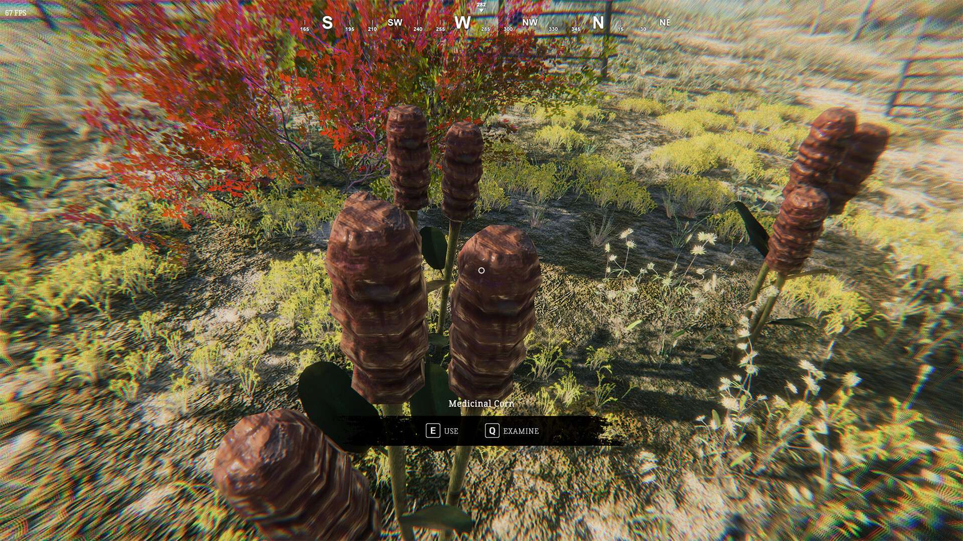 Far Beach: Desire Remains screenshot 3