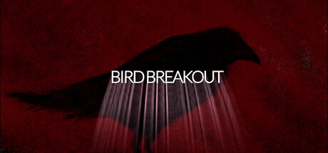 Cover art from Bird Breakout