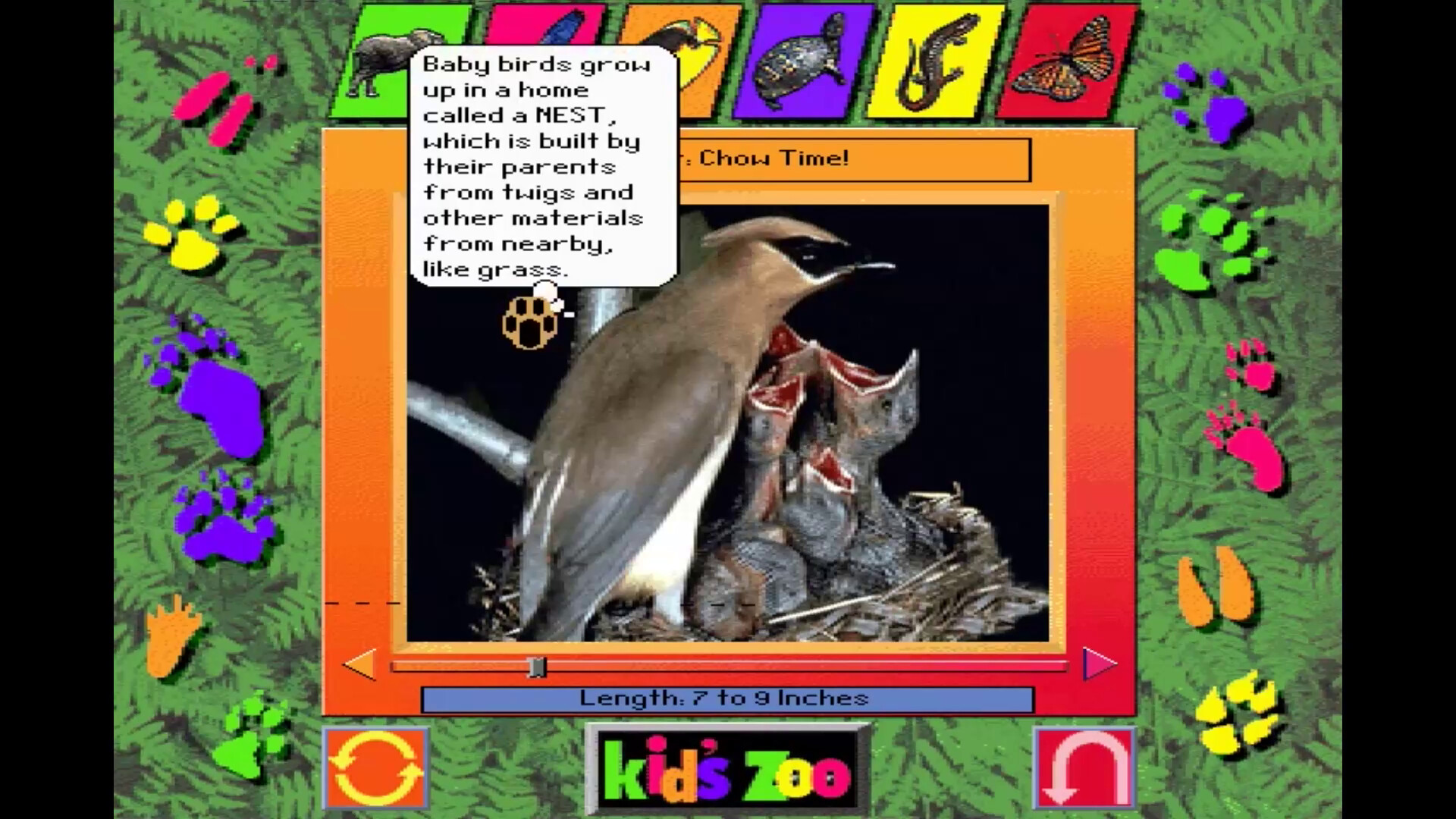 Kid's Zoo: A Baby Animal Adventure screenshot 5