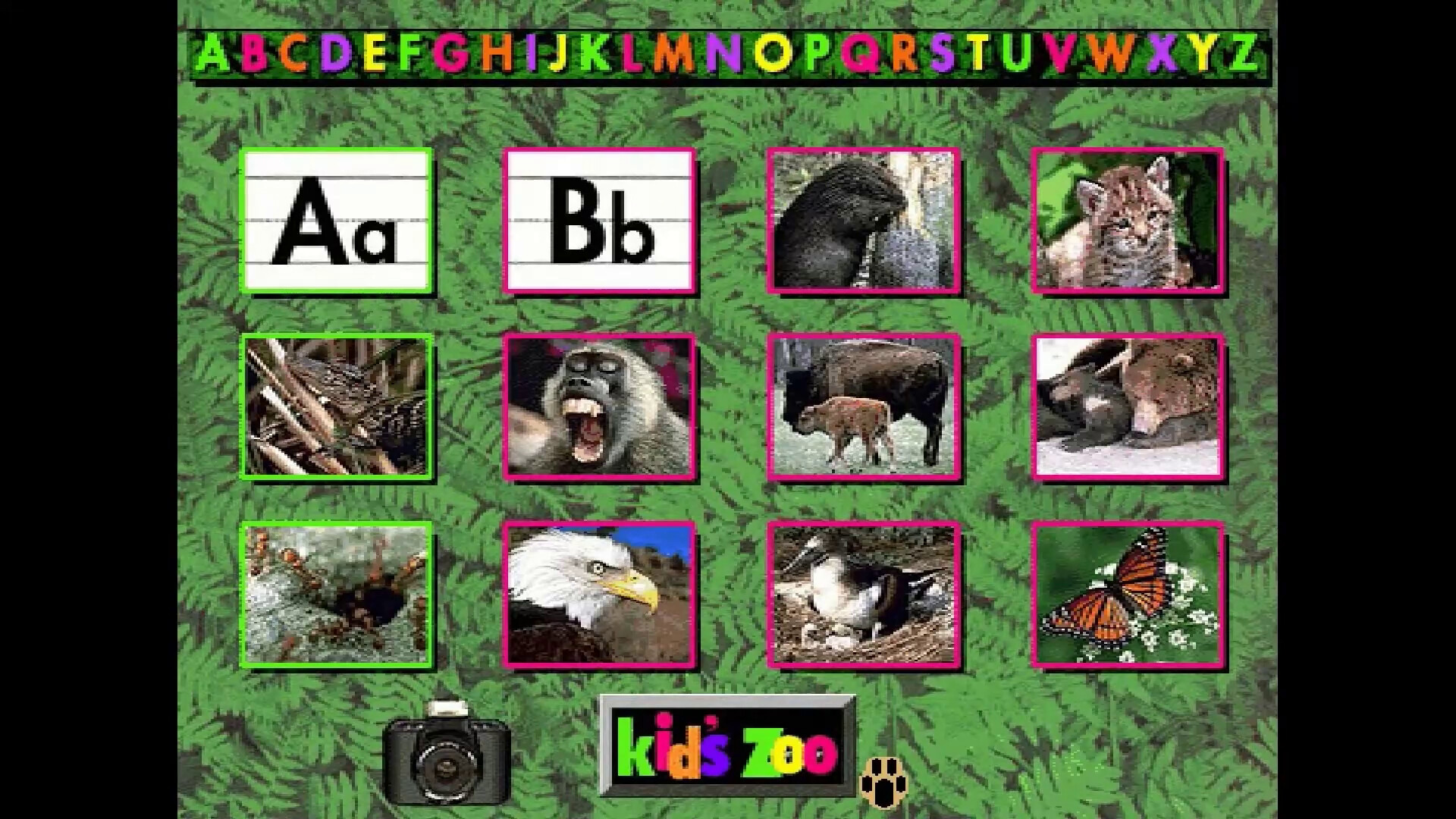 Kid's Zoo: A Baby Animal Adventure screenshot 3