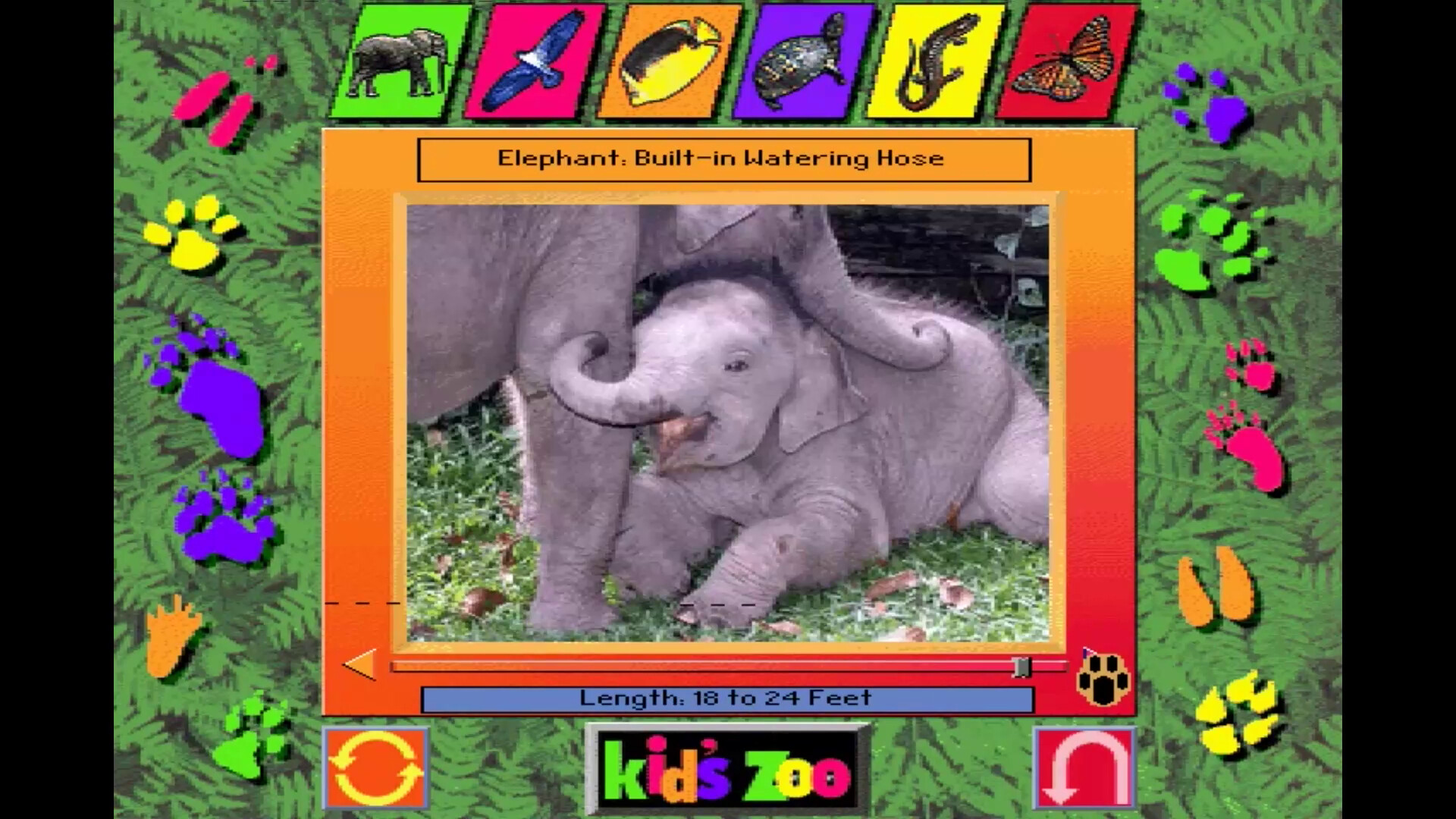 Kid's Zoo: A Baby Animal Adventure screenshot 2