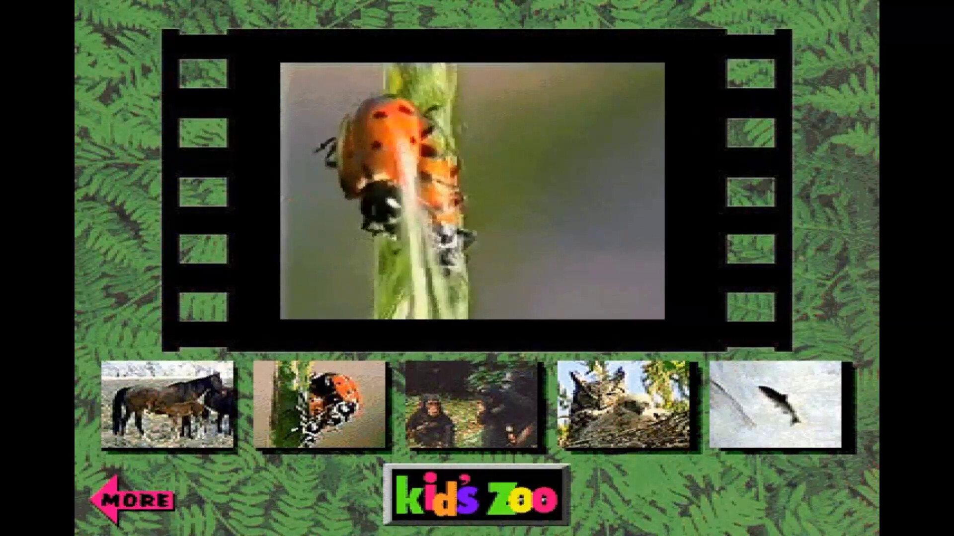 Kid's Zoo: A Baby Animal Adventure screenshot 4
