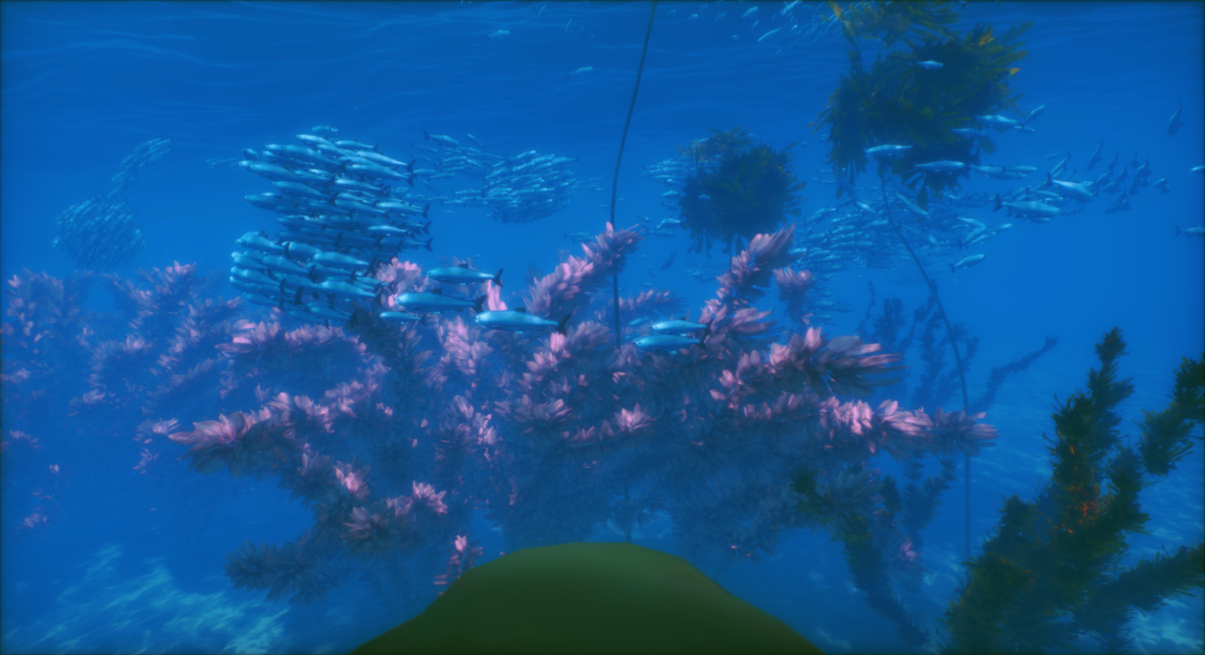 To The Deep screenshot 2