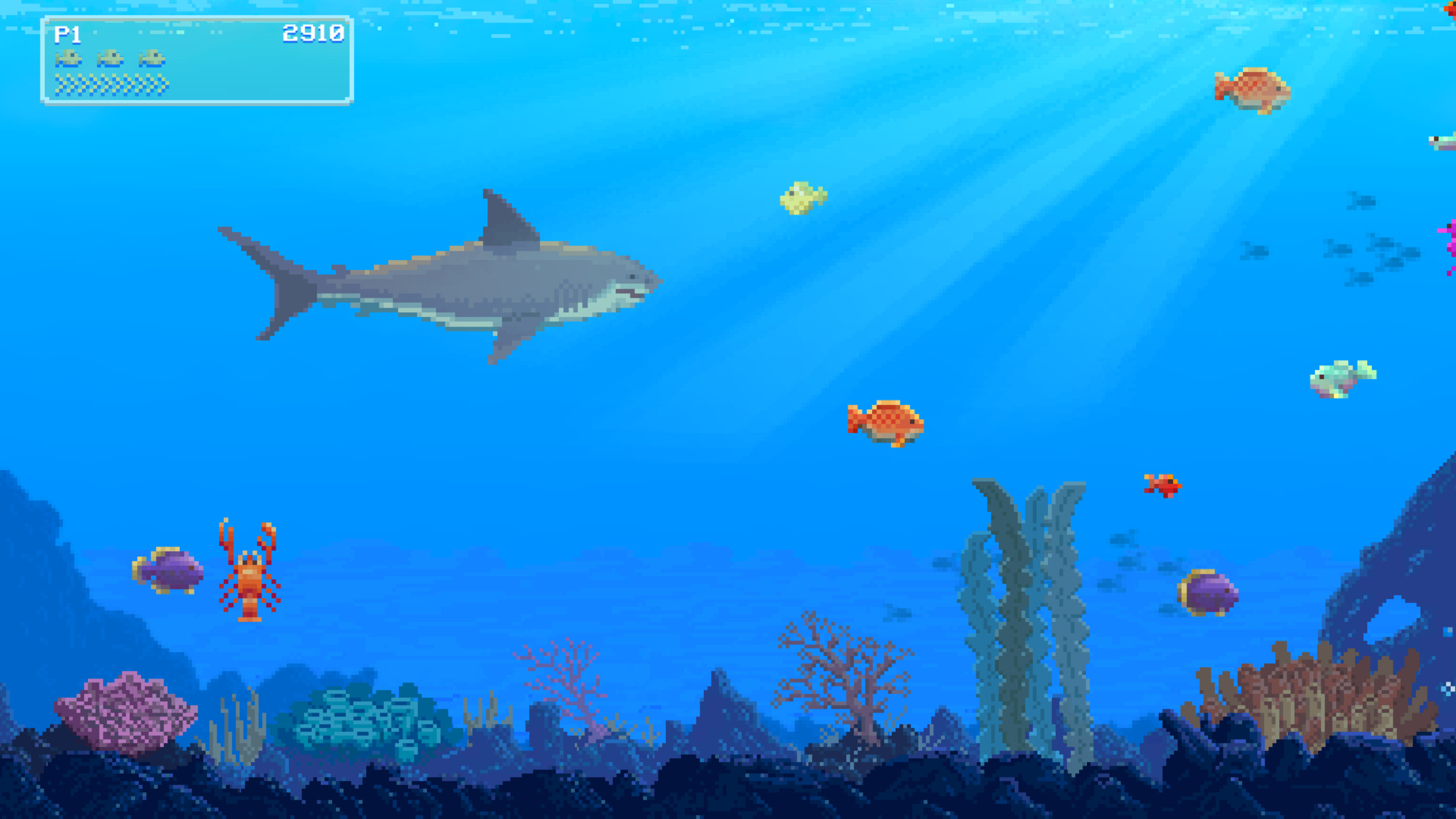 Watch Out: Shark! trailer