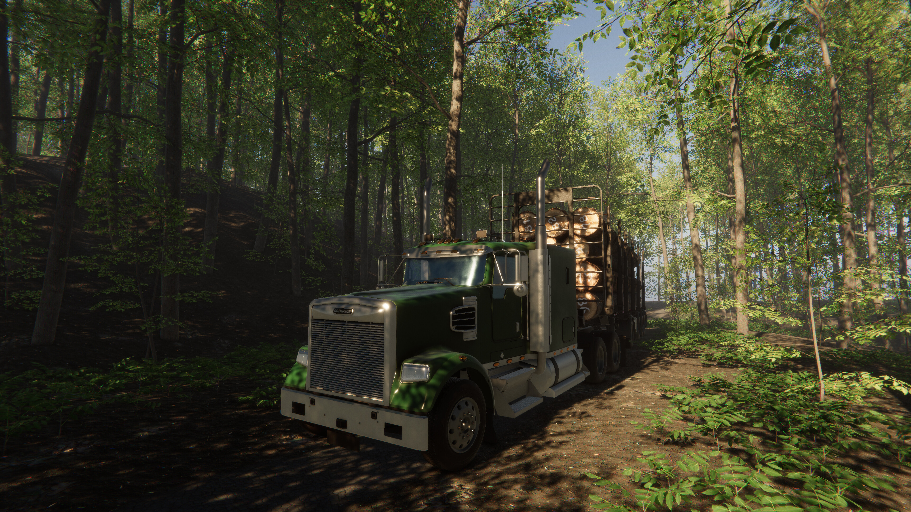 NS Drive Simulator screenshot 4