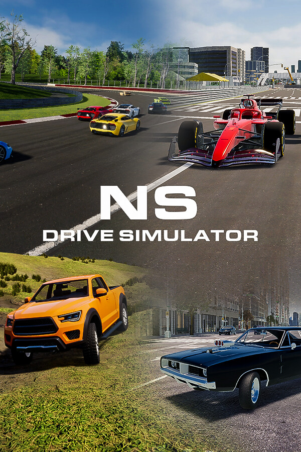 NS Drive Simulator