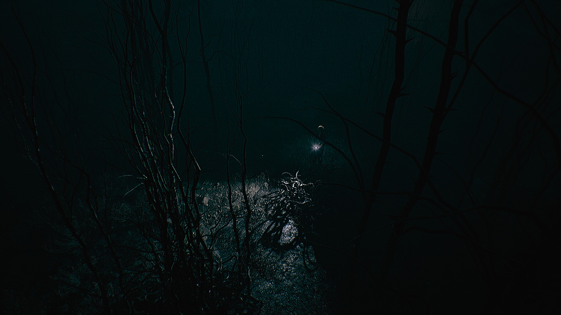 Residual Light screenshot 2