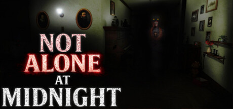 Cover art from Not Alone at Midnight