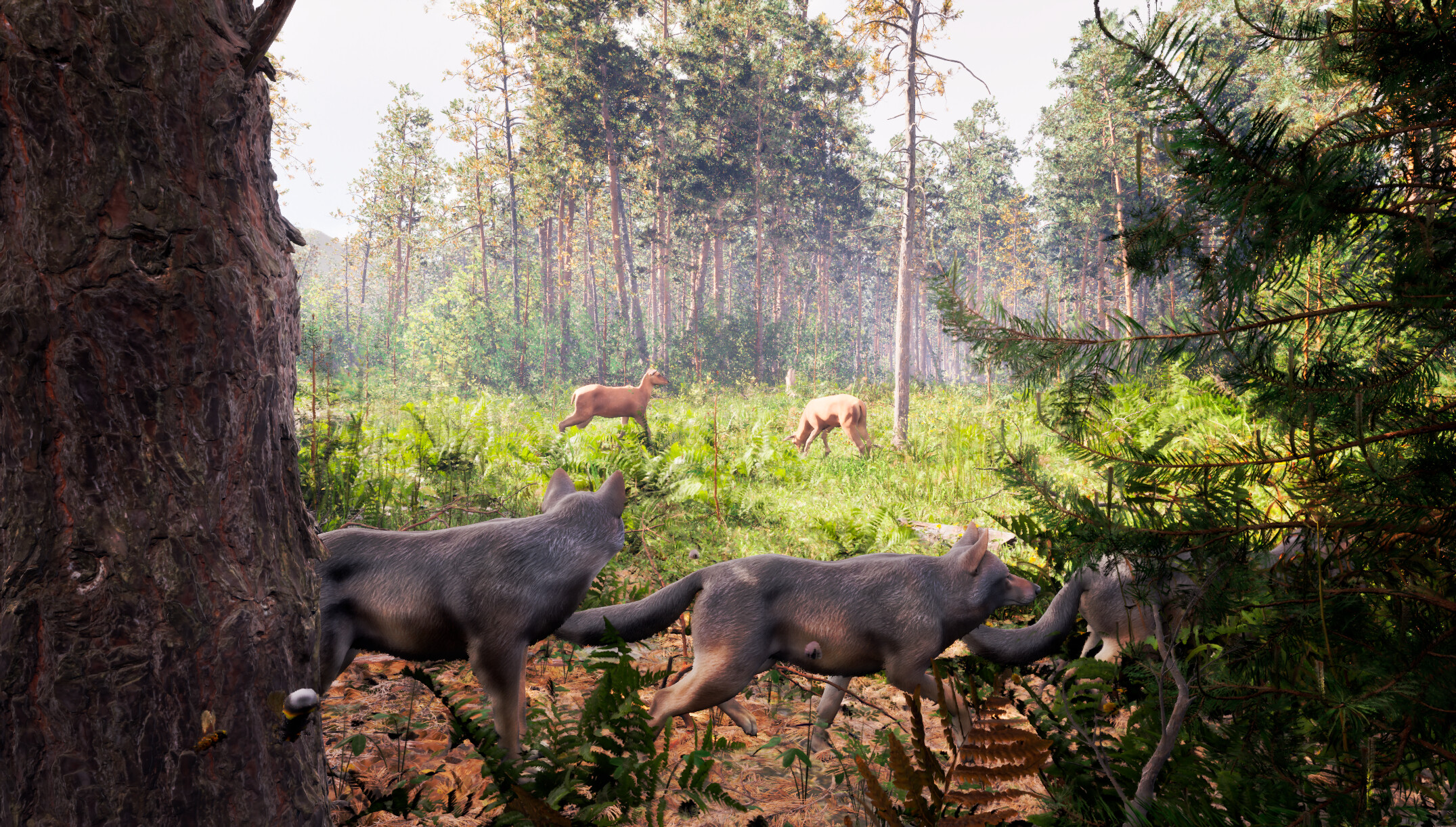 Susia - Wolf Life Simulator screenshot 4