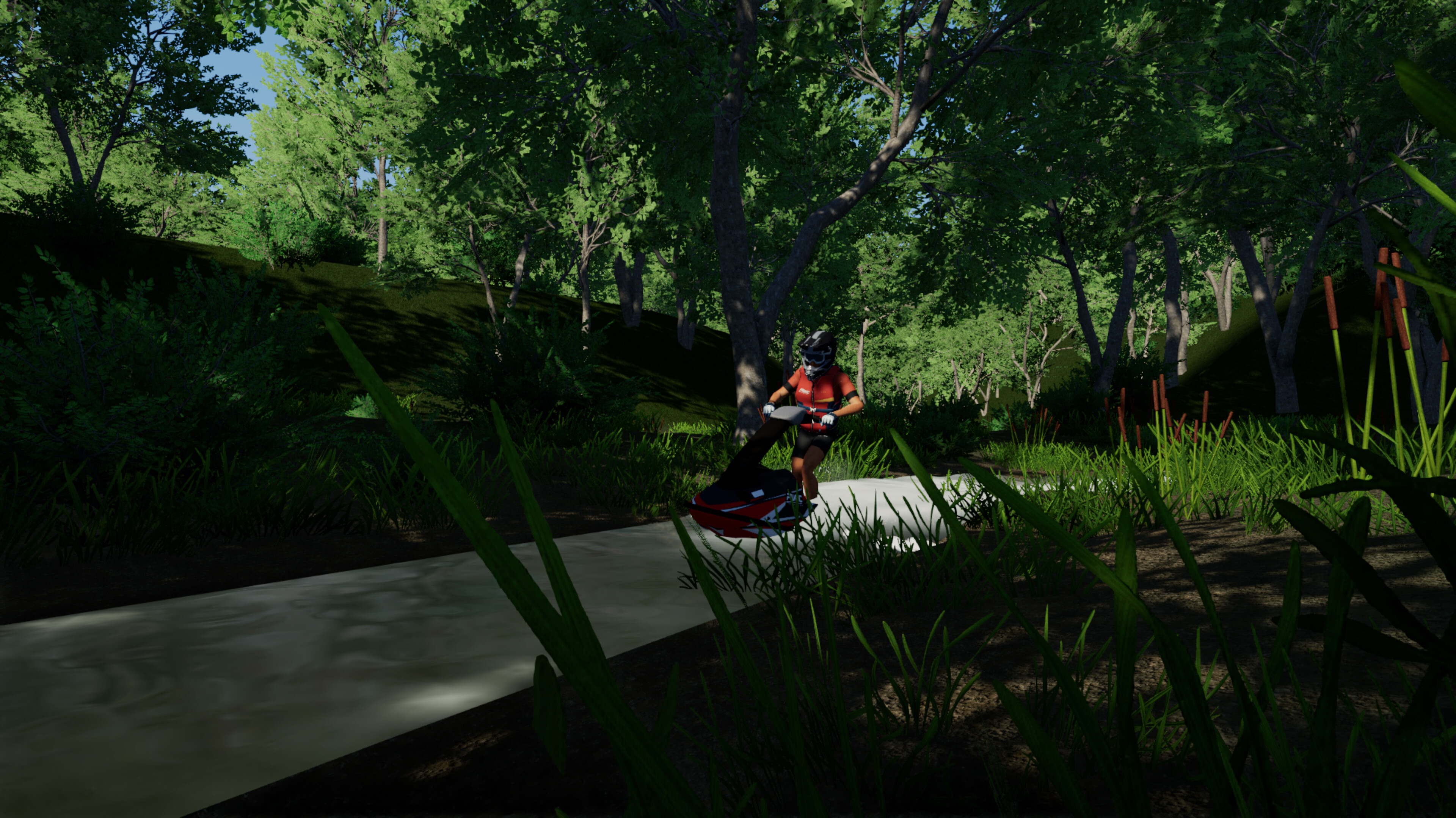 PWC Simulator screenshot 1