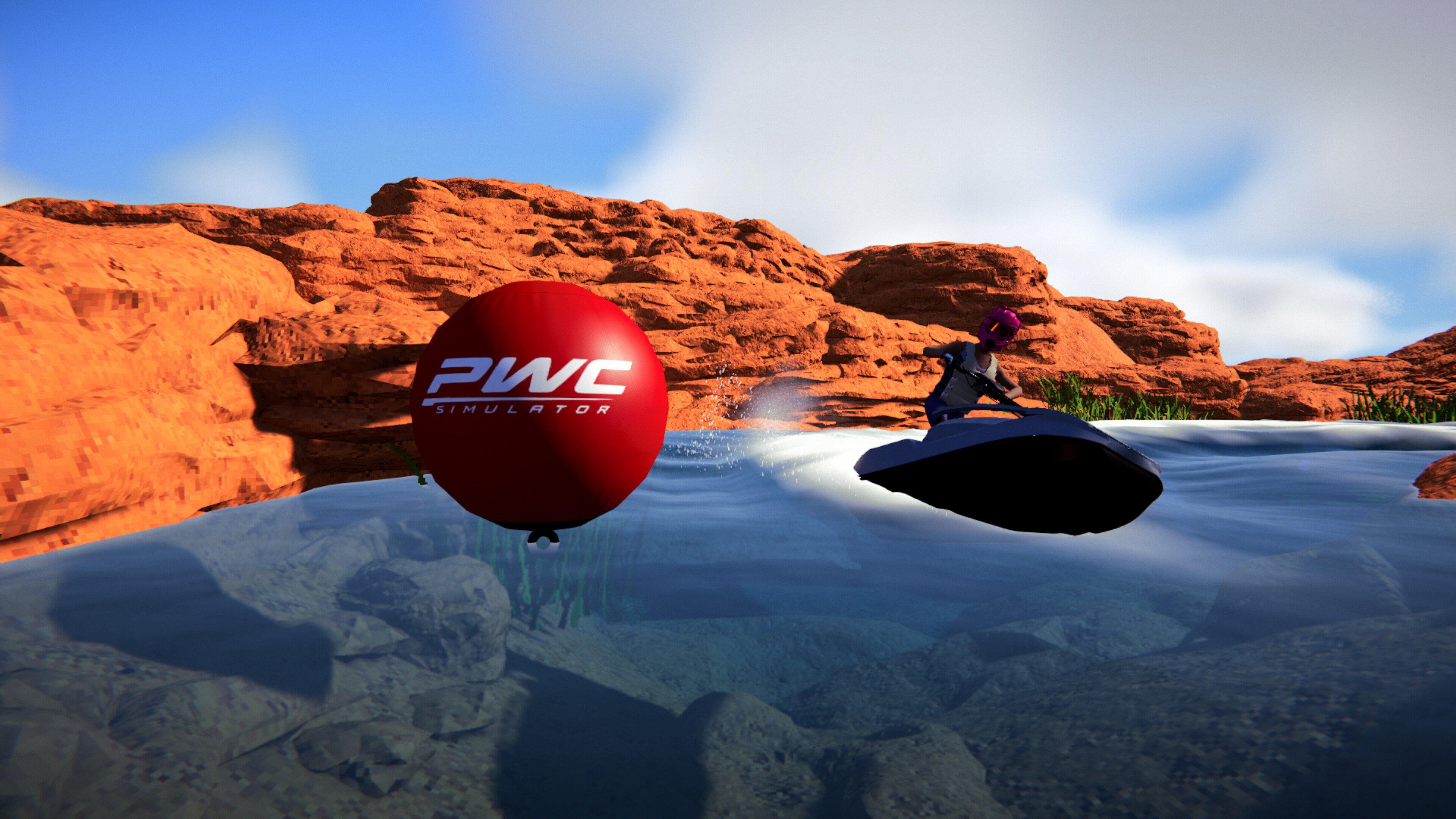 PWC Simulator screenshot 3