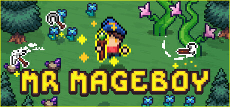Cover art from MR MAGEBOY