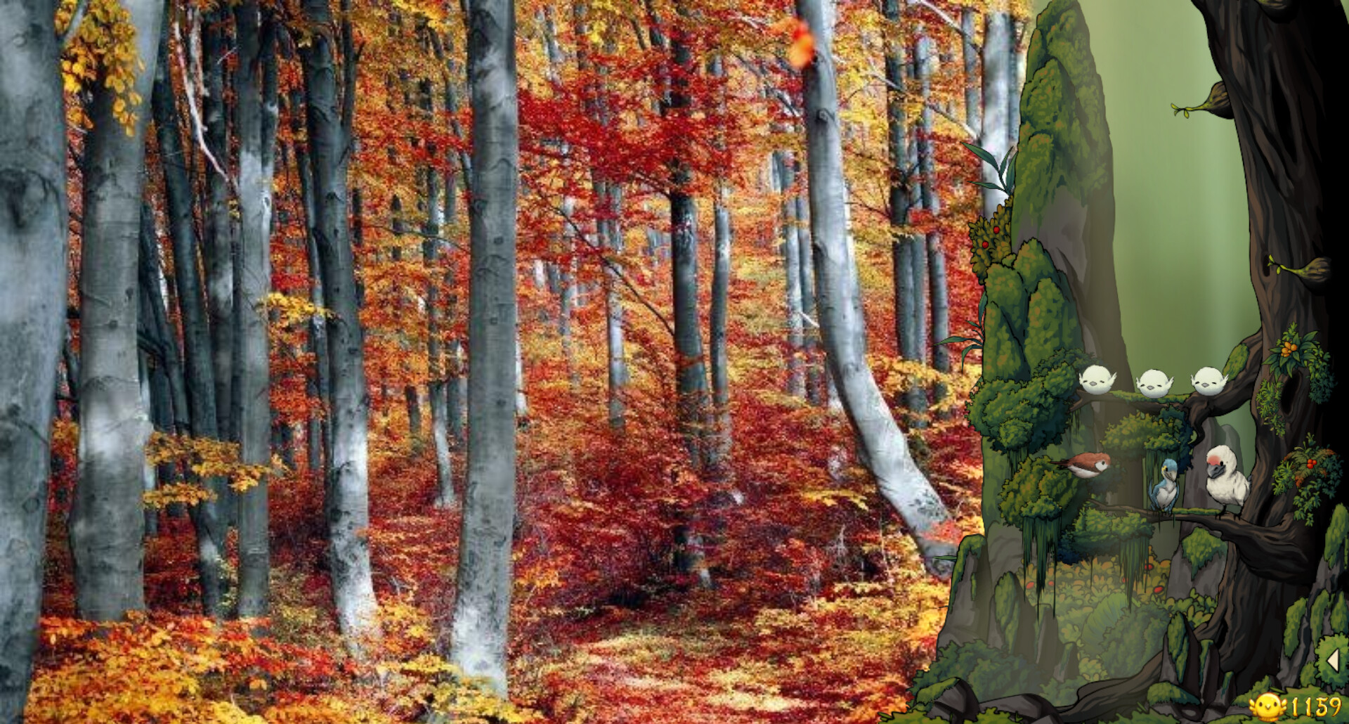 Fantasy Bird Woods screenshot 3