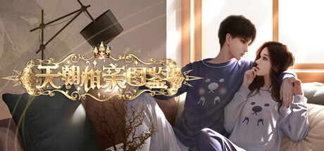 天朝相亲图鉴