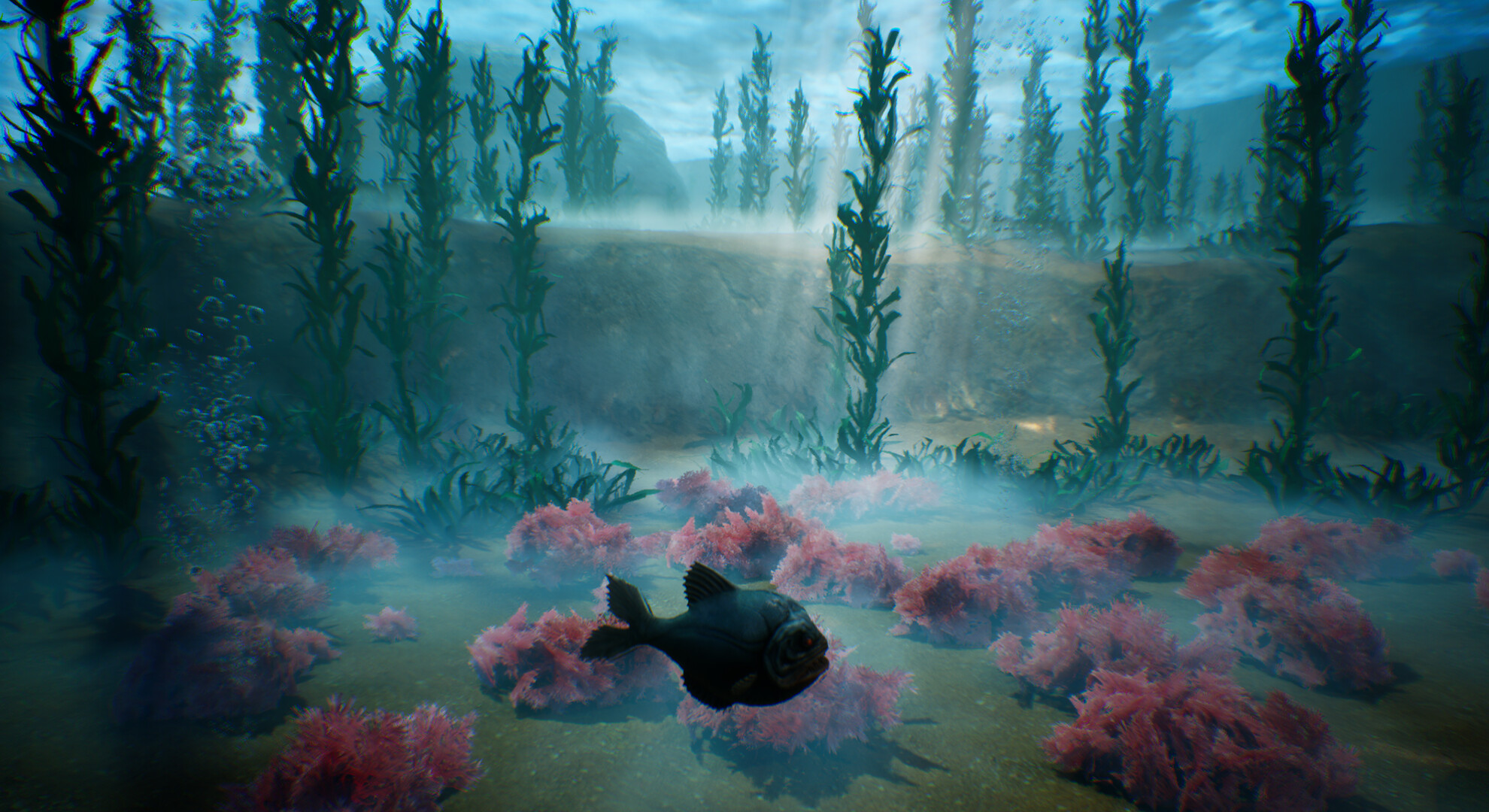Tidepool screenshot 2