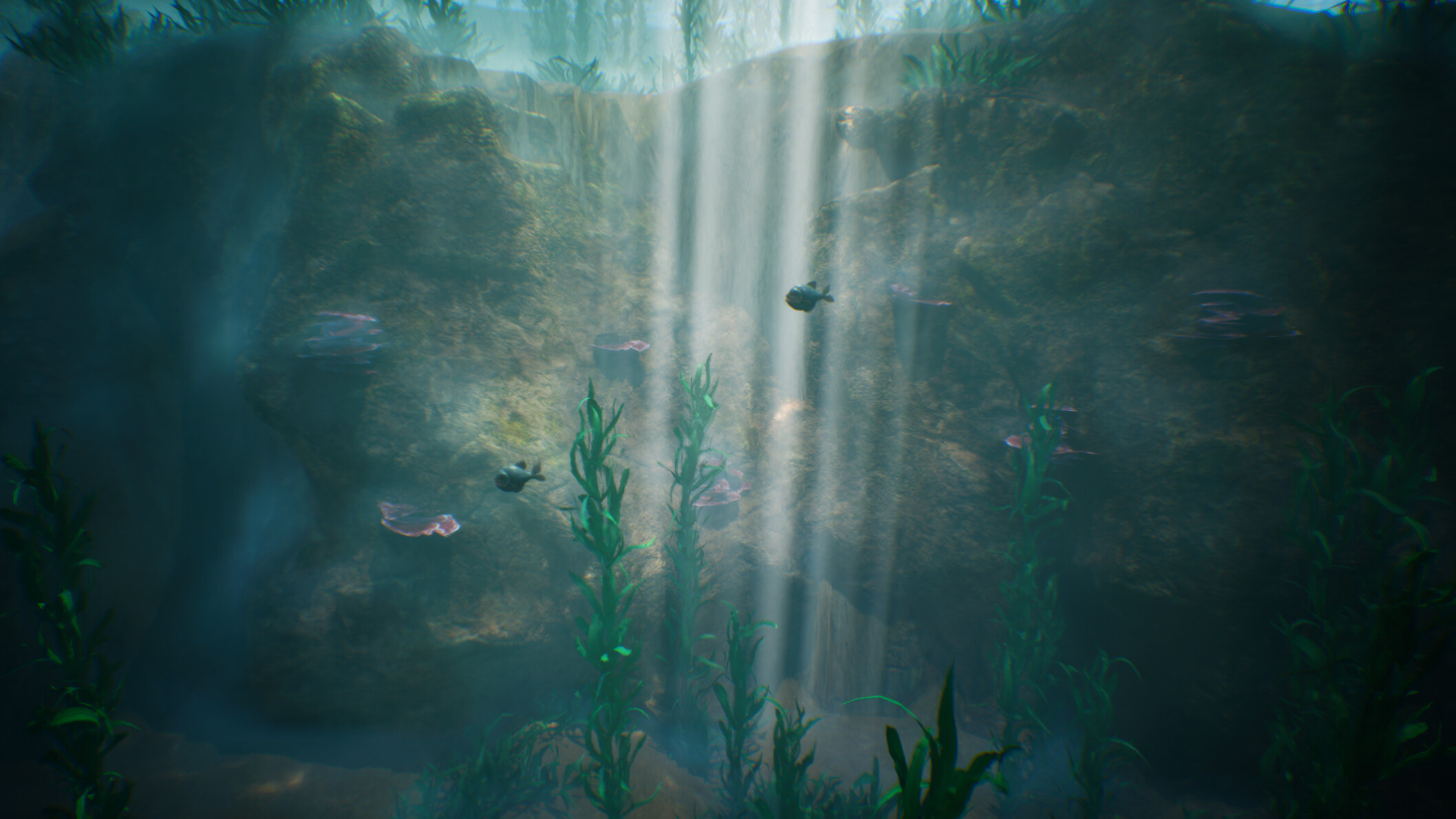 Tidepool screenshot 1