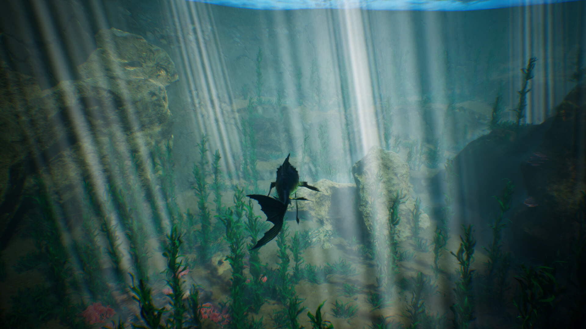 Tidepool screenshot 3
