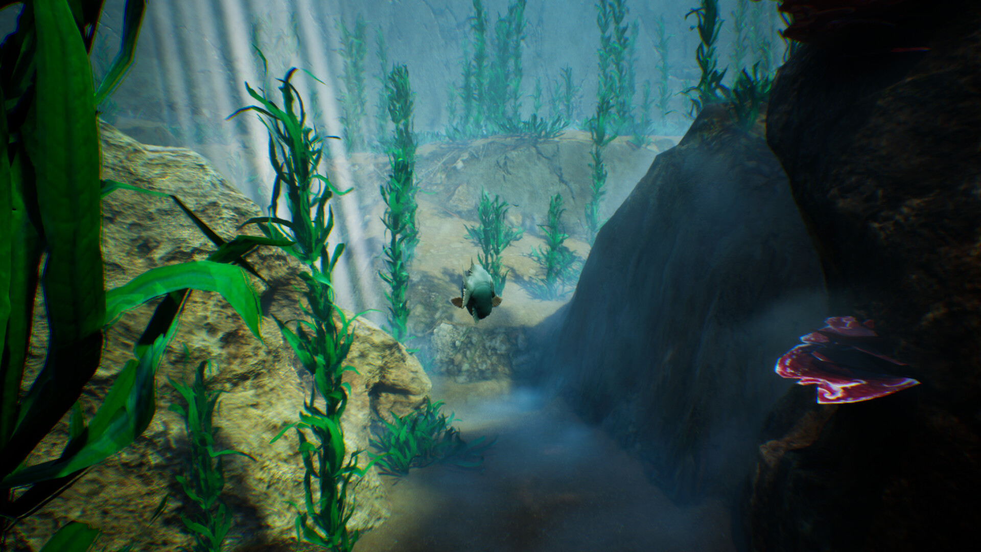 Tidepool screenshot 5