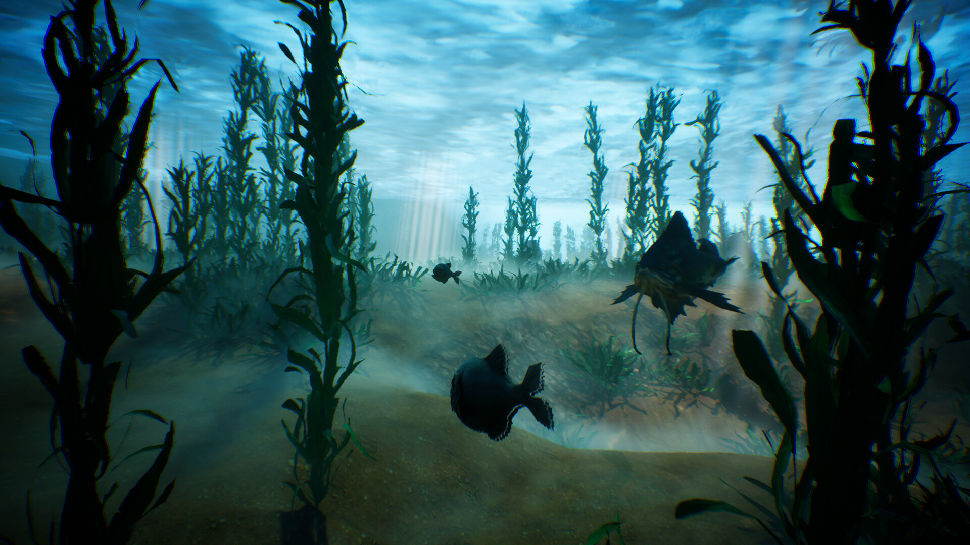Tidepool screenshot 4