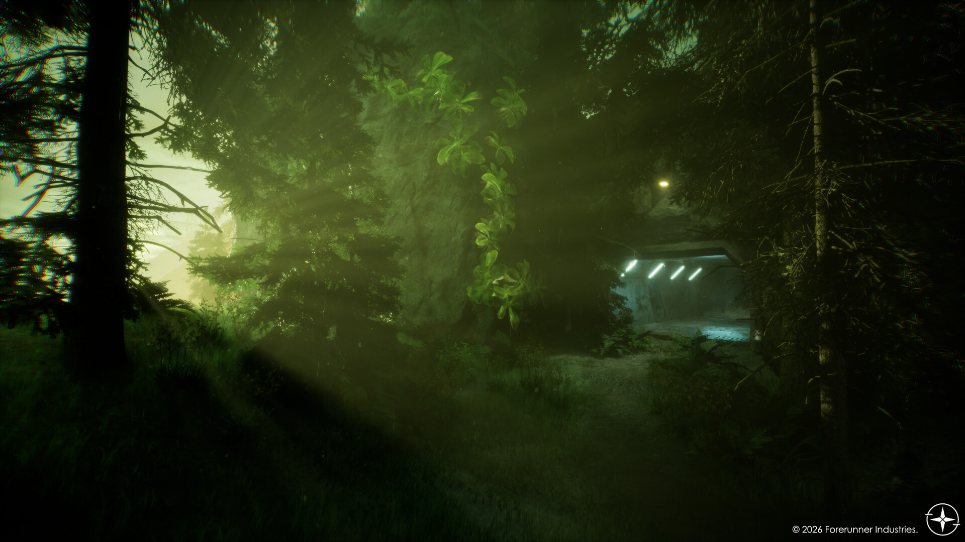 Fallen Forest: Echoes Within trailer