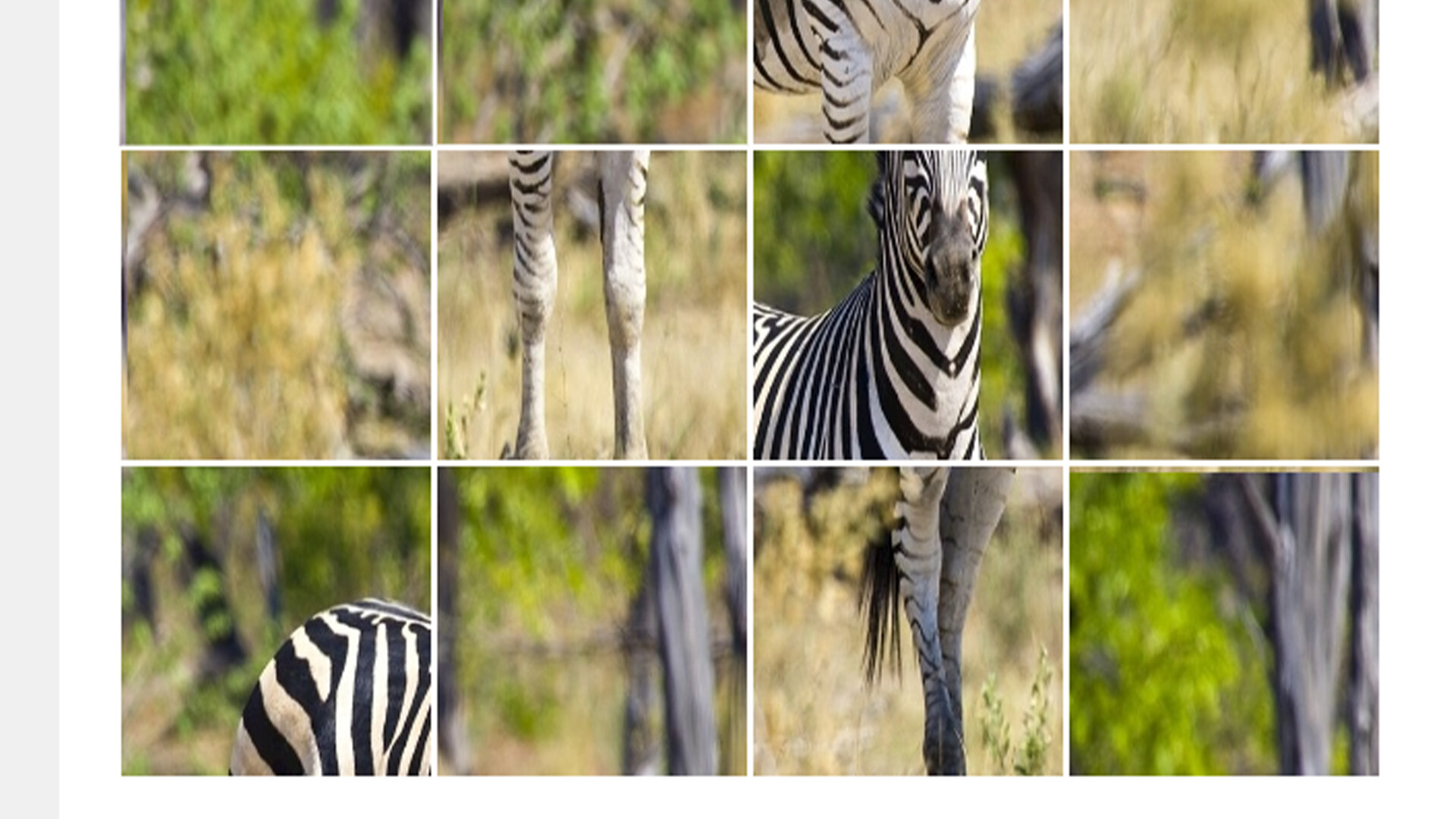 ZebraPuzzle.hgm screenshot 4