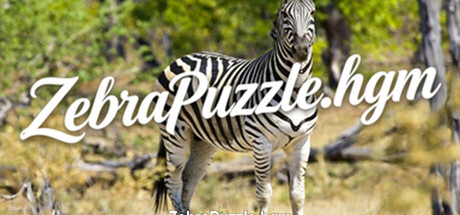 Cover art from ZebraPuzzle.hgm