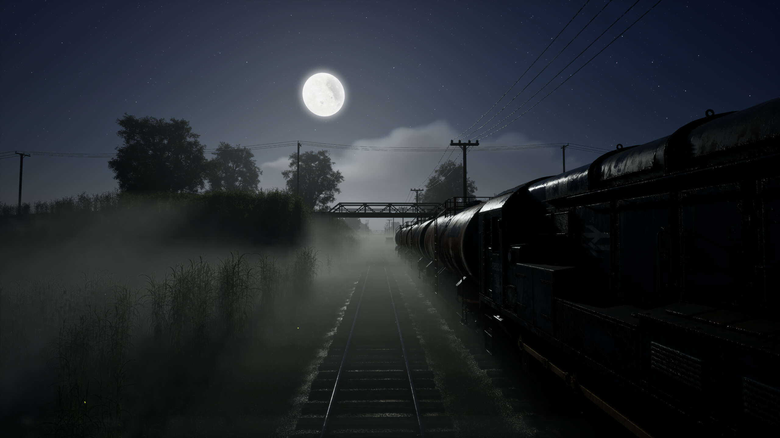 Whispers of the Tallgrass trailer