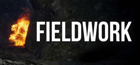 Cover art from Fieldwork