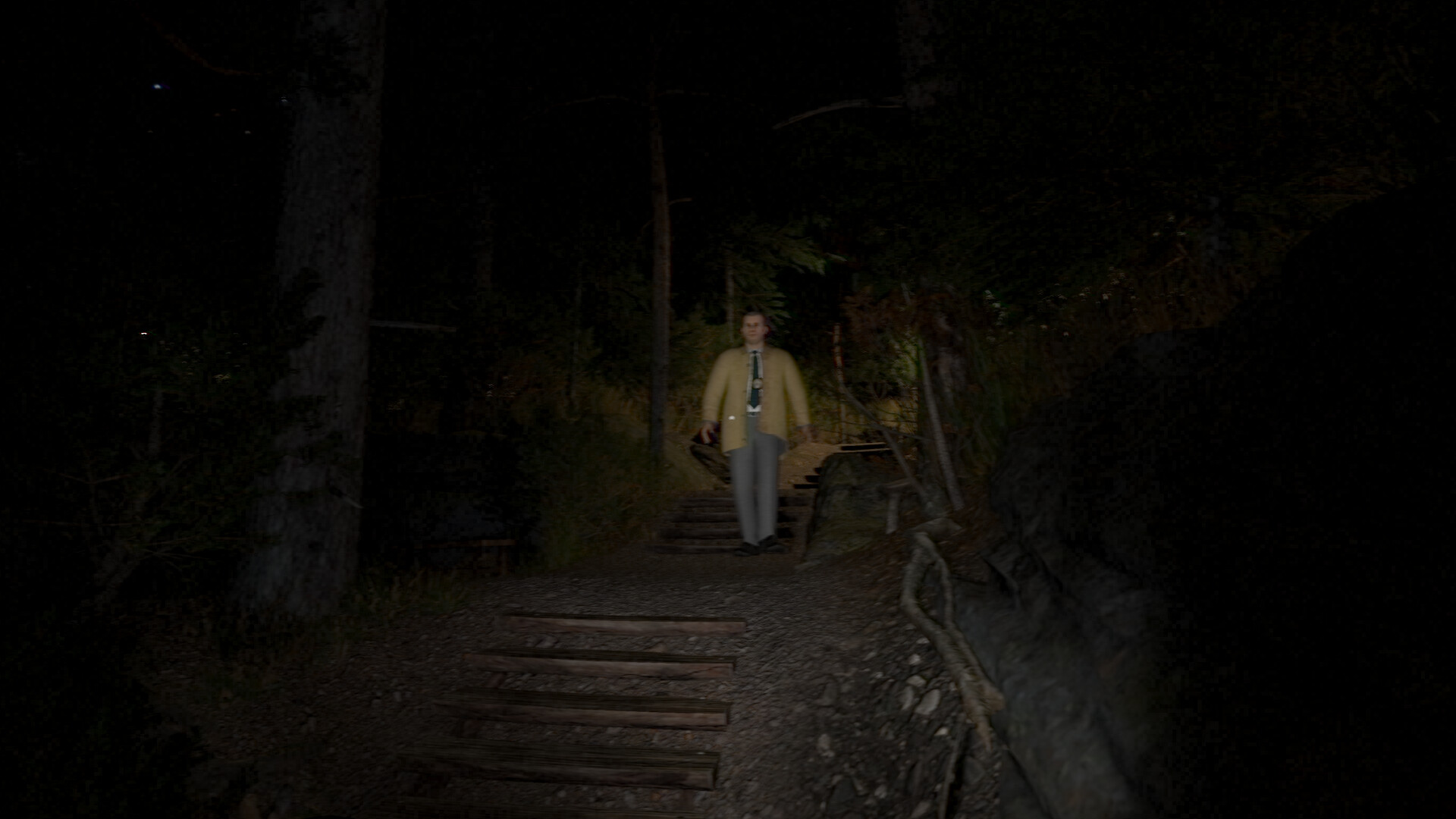SILVER FALLS screenshot 4
