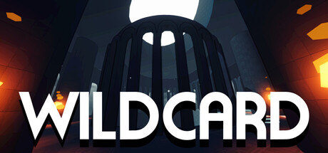 Wildcard