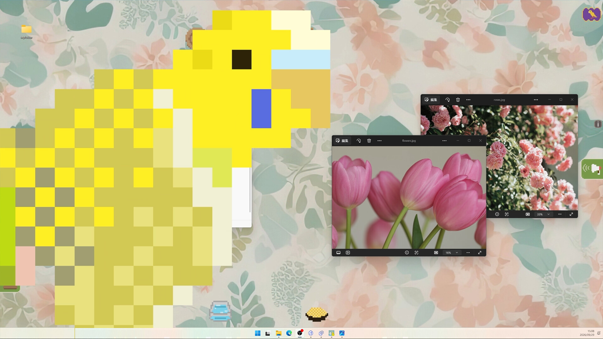 Talkie Budgie: Talks When Loved screenshot 5